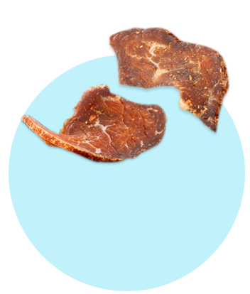 Carne seca
